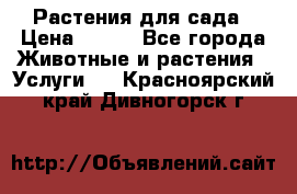 Растения для сада › Цена ­ 200 - Все города Животные и растения » Услуги   . Красноярский край,Дивногорск г.